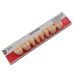 50010044-1-Dente-Biotone-30L-SUP-66-Dentsply-Sirona