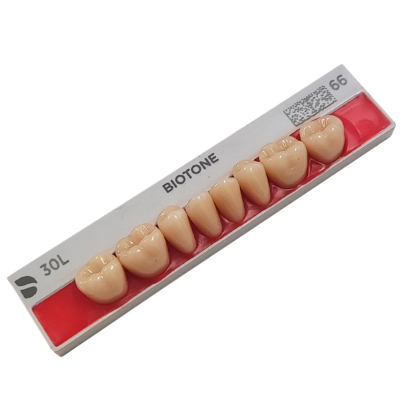 50010044-1-Dente-Biotone-30L-SUP-66-Dentsply-Sirona