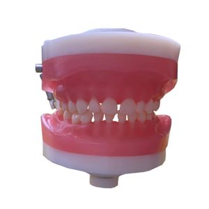 Manequim de Odontopediatria PD114 - Pronew