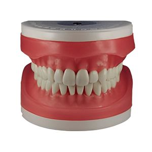 Refil Top Dentística AC103 - Pronew