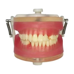 Manequim Top Exodontia PD113 - Pronew