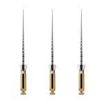 Principal
